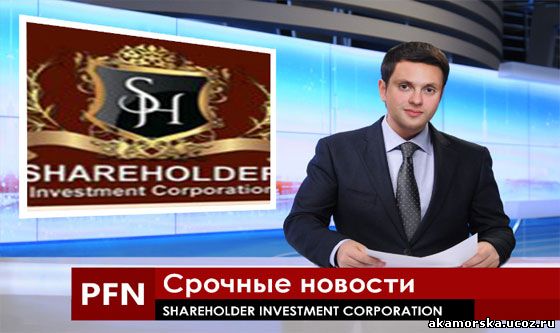 Обзор Shareholder Investment Corporation